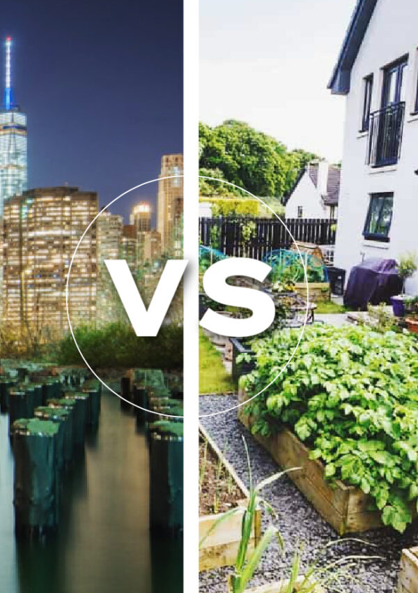 Homesteading vs. City Life: What’s Important to You?